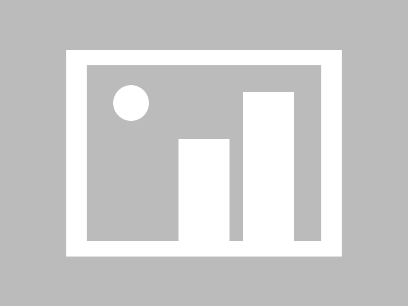 51成品网站W灬源码，51平台网站