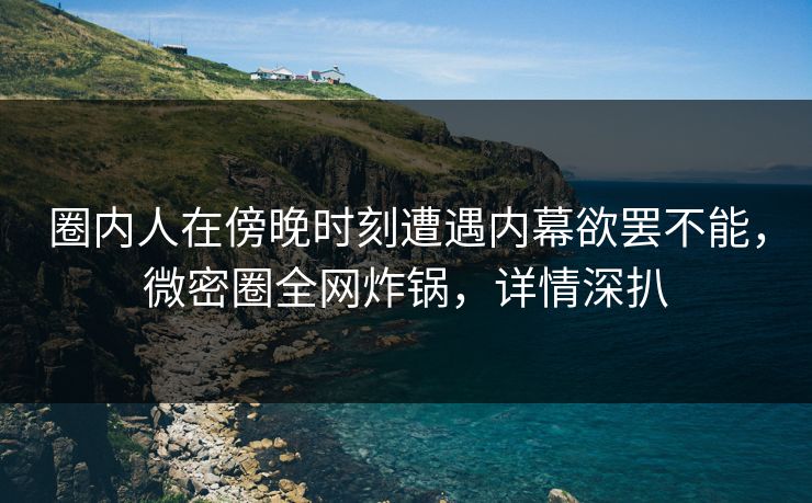 圈内人在傍晚时刻遭遇内幕欲罢不能，微密圈全网炸锅，详情深扒