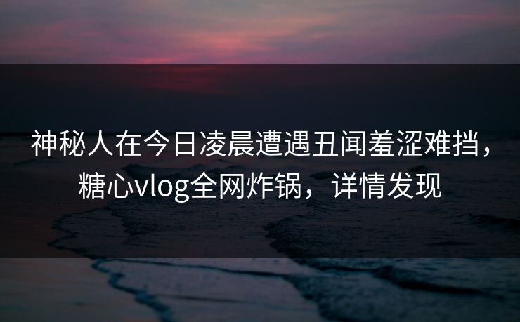 神秘人在今日凌晨遭遇丑闻羞涩难挡，糖心vlog全网炸锅，详情发现