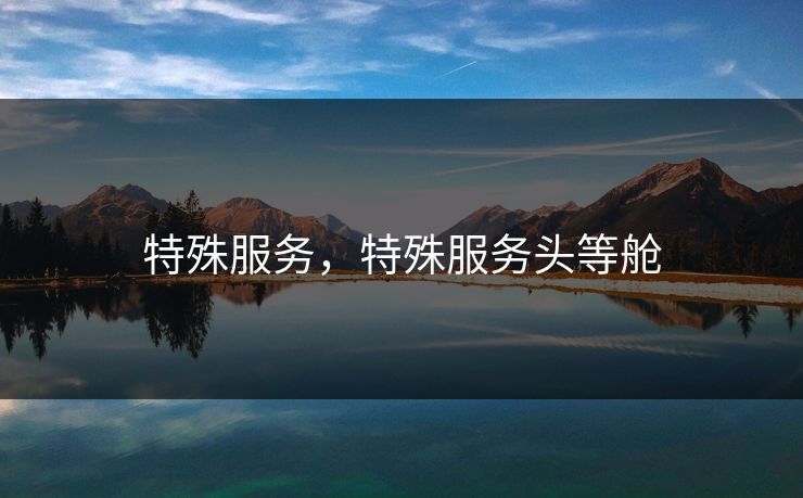 特殊服务，特殊服务头等舱