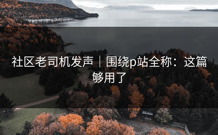 社区老司机发声｜围绕p站全称：这篇够用了